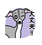 人生山あり谷ありイタグレ達のスタンプ（個別スタンプ：4）