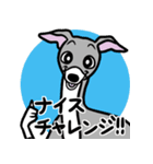 人生山あり谷ありイタグレ達のスタンプ（個別スタンプ：5）