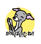 人生山あり谷ありイタグレ達のスタンプ（個別スタンプ：7）