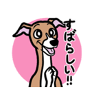 人生山あり谷ありイタグレ達のスタンプ（個別スタンプ：10）