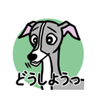 人生山あり谷ありイタグレ達のスタンプ（個別スタンプ：13）