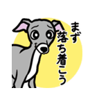 人生山あり谷ありイタグレ達のスタンプ（個別スタンプ：14）