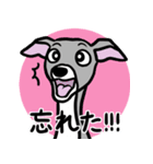 人生山あり谷ありイタグレ達のスタンプ（個別スタンプ：17）