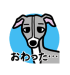 人生山あり谷ありイタグレ達のスタンプ（個別スタンプ：19）