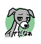 人生山あり谷ありイタグレ達のスタンプ（個別スタンプ：20）