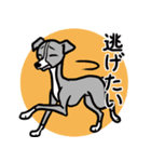 人生山あり谷ありイタグレ達のスタンプ（個別スタンプ：22）