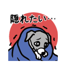人生山あり谷ありイタグレ達のスタンプ（個別スタンプ：23）