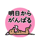 人生山あり谷ありイタグレ達のスタンプ（個別スタンプ：24）