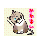 毎日会いたい おしゃべりなネコたち（個別スタンプ：33）