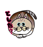 毎日会いたい おしゃべりなネコたち（個別スタンプ：34）