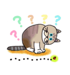 毎日会いたい おしゃべりなネコたち（個別スタンプ：35）