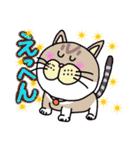 毎日会いたい おしゃべりなネコたち（個別スタンプ：36）