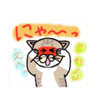 毎日会いたい おしゃべりなネコたち（個別スタンプ：37）