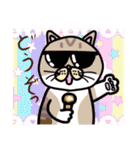 毎日会いたい おしゃべりなネコたち（個別スタンプ：38）