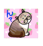 毎日会いたい おしゃべりなネコたち（個別スタンプ：40）