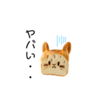 動物パンスタンプ【使いやすいスタンプ】（個別スタンプ：16）