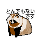 ドットのたぬき5（個別スタンプ：3）