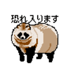 ドットのたぬき5（個別スタンプ：8）