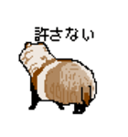 ドットのたぬき5（個別スタンプ：11）