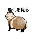 ドットのたぬき5（個別スタンプ：12）