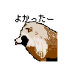 ドットのたぬき5（個別スタンプ：14）