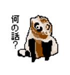 ドットのたぬき5（個別スタンプ：15）