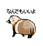 ドットのたぬき5（個別スタンプ：17）