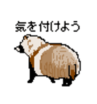 ドットのたぬき5（個別スタンプ：18）