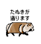 ドットのたぬき5（個別スタンプ：19）