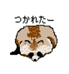 ドットのたぬき5（個別スタンプ：23）