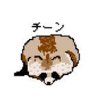 ドットのたぬき5（個別スタンプ：24）