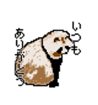 ドットのたぬき5（個別スタンプ：25）