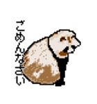 ドットのたぬき5（個別スタンプ：26）