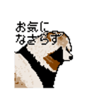 ドットのたぬき5（個別スタンプ：28）