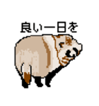 ドットのたぬき5（個別スタンプ：32）