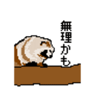 ドットのたぬき5（個別スタンプ：35）