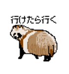 ドットのたぬき5（個別スタンプ：38）