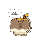 麺類犬（個別スタンプ：16）
