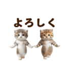 踊る！ネコたち！にゃんだふる～3（個別スタンプ：19）