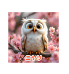 幸せフクロウスタンプ（個別スタンプ：1）