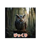 幸せフクロウスタンプ（個別スタンプ：2）