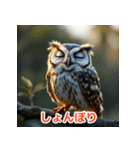 幸せフクロウスタンプ（個別スタンプ：3）