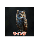 幸せフクロウスタンプ（個別スタンプ：11）