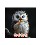 幸せフクロウスタンプ（個別スタンプ：16）