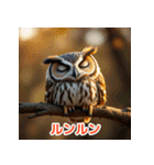 幸せフクロウスタンプ（個別スタンプ：19）