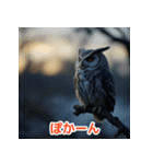 幸せフクロウスタンプ（個別スタンプ：23）