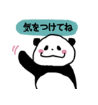 理系パンダの報連相スタンプ（個別スタンプ：3）