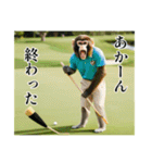 架空の自称プロゴルファー猿【関西弁】（個別スタンプ：28）