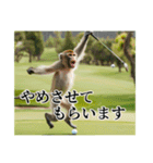 架空の自称プロゴルファー猿（個別スタンプ：10）