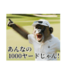 架空の自称プロゴルファー猿（個別スタンプ：19）